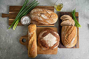 ���� �����